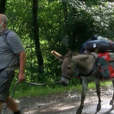 Albert et Gust sur le chemin de Compostelle