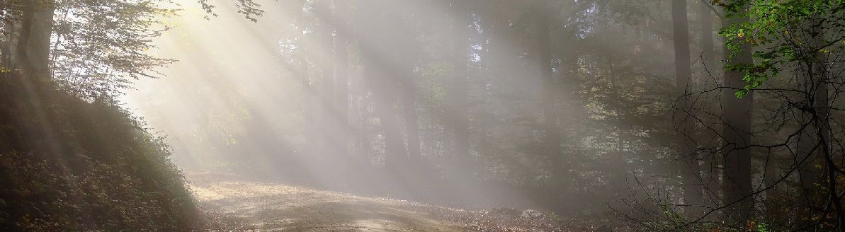 Lourdes, c'est une Lumière qui vient du Ciel
