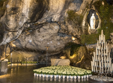 8 décembre : des roses pour Notre-Dame de Lourdes