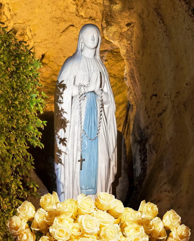 Offrez une rose à NotreDame de Lourdes, pour la fête de l'immaculée conception
