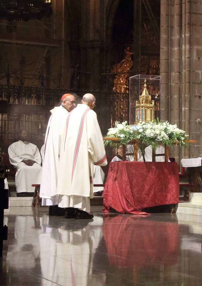 reduit_barcelone-cardinal_0636