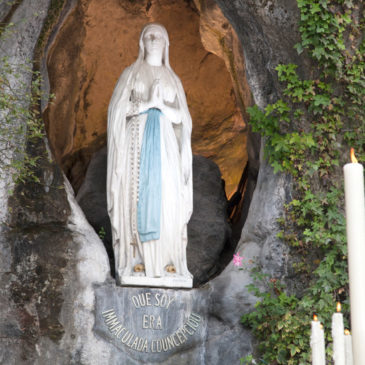 Lourdes News N°40 – December / January