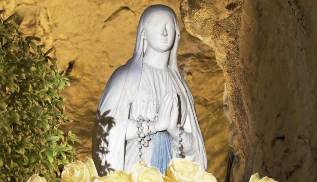 8th december - Roses for Our Lady of Lourdes