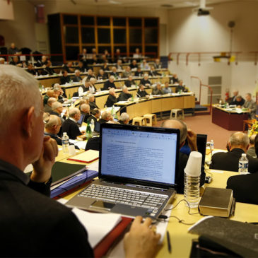 23-26 mars : les évêques en assemblée plénière à Lourdes