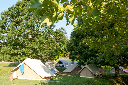 Creation of a tree management plan for the Youth Village