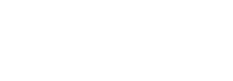 logo Lourdes Solidarité