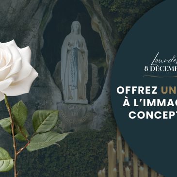 Offrez une rose à Marie pour la fête du 8 décembre